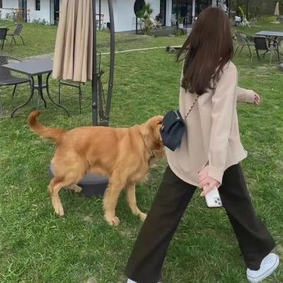 无言的结局